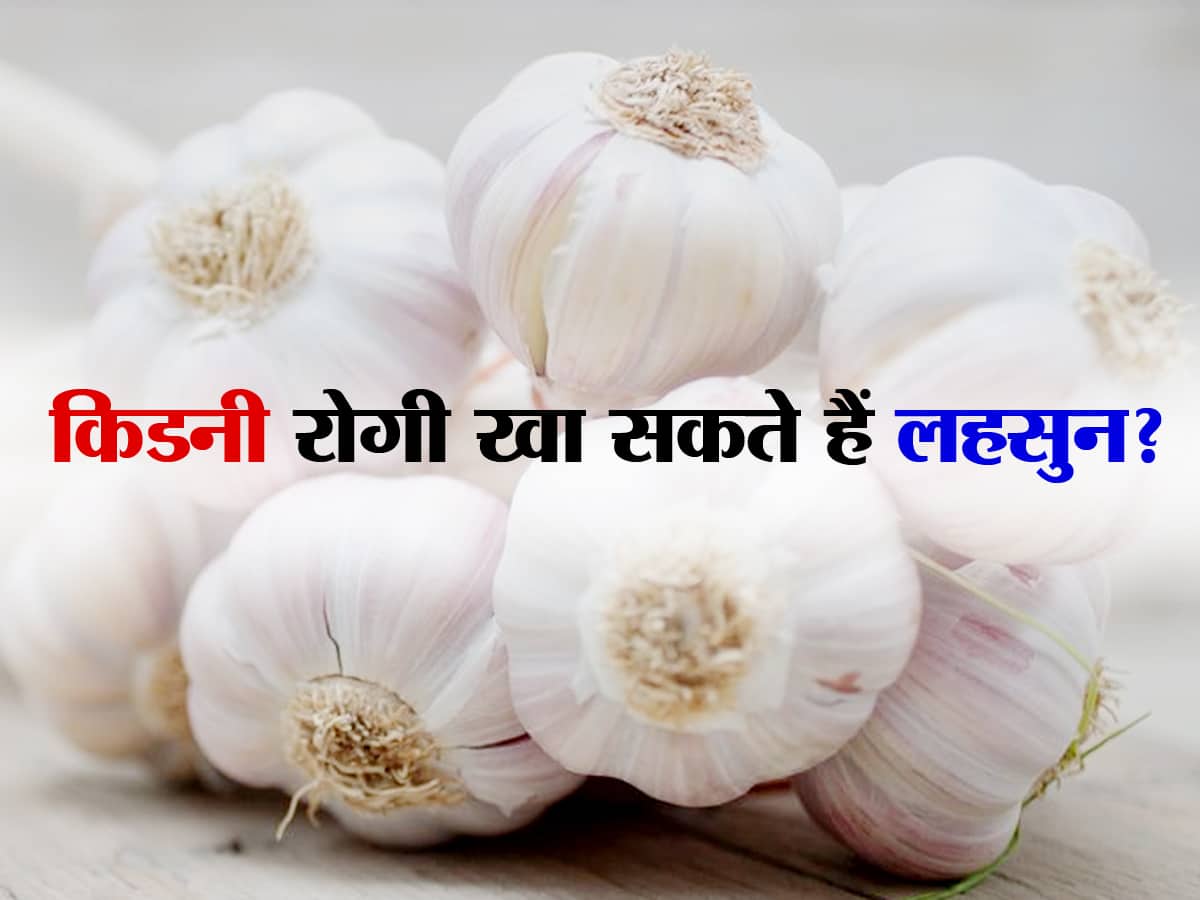 Garlic in Kidney Disease in hindi : किडनी रोगी खा सकते हैं लहसुन? जानें किडनी रोगियों के लिए कितना फायदेमंद है लहसुन